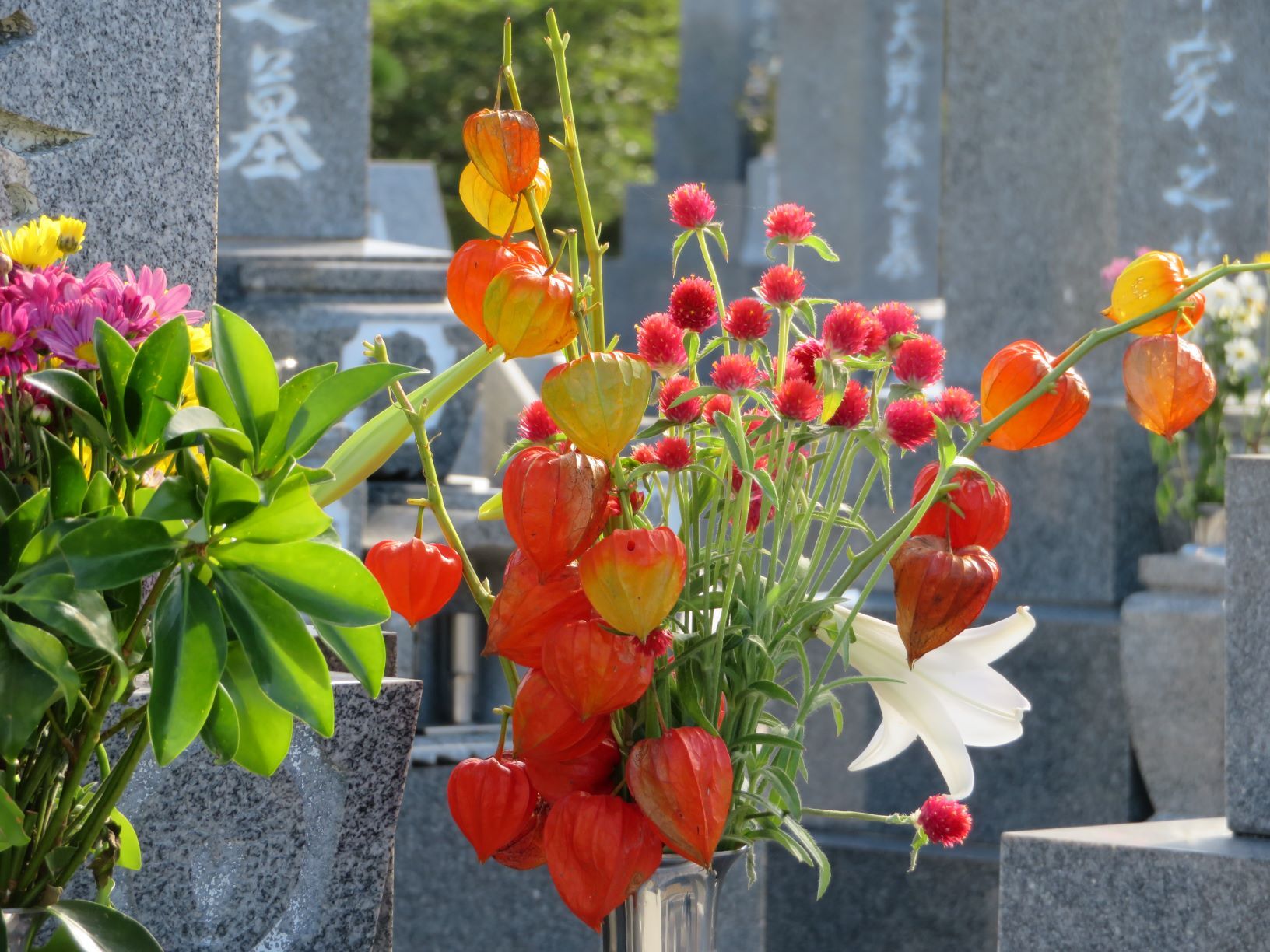 写真：花