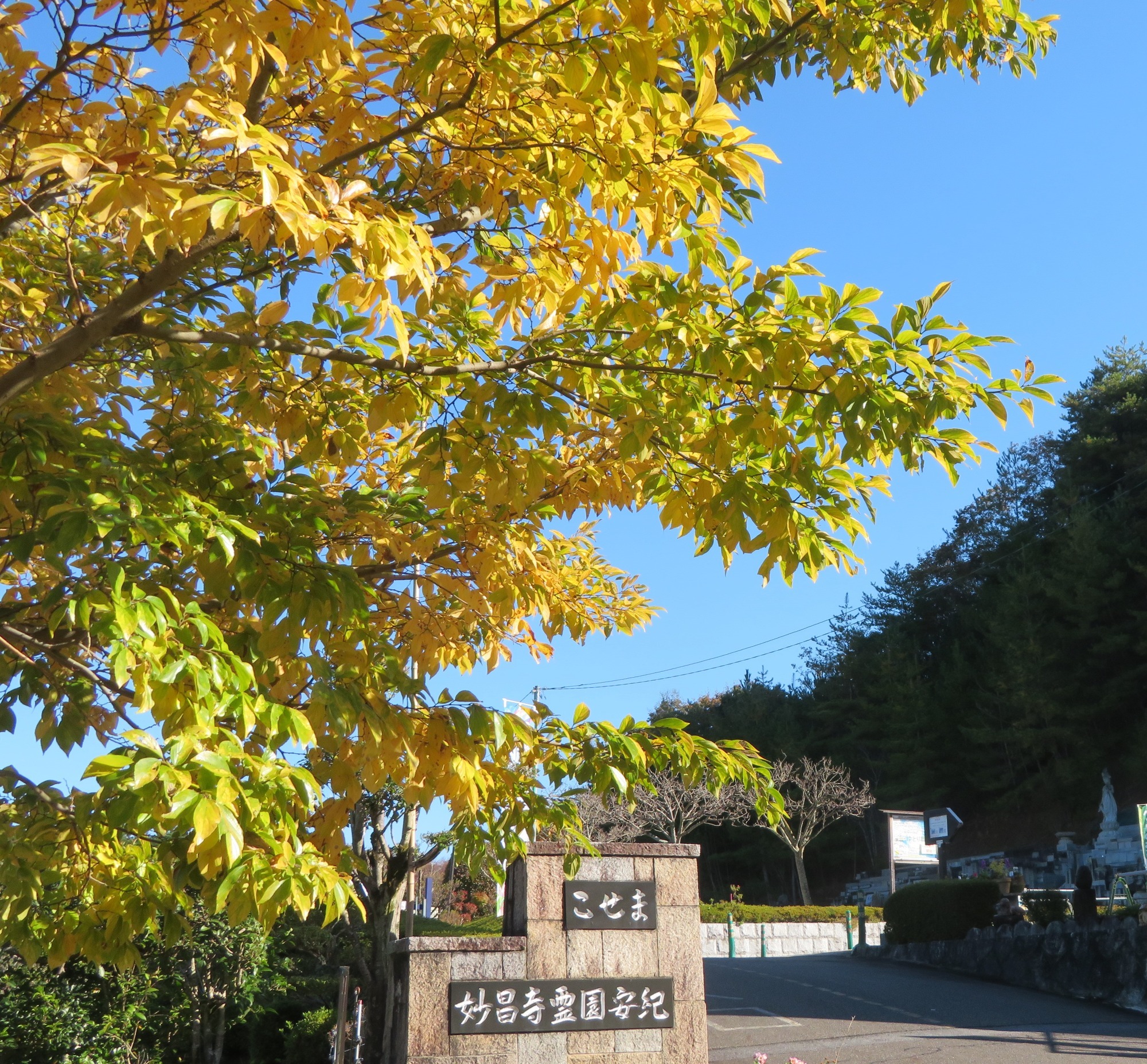 写真：スタバ