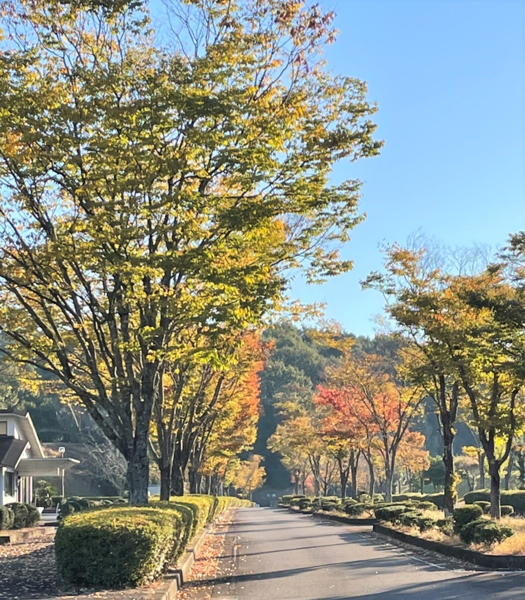 写真：スタバ