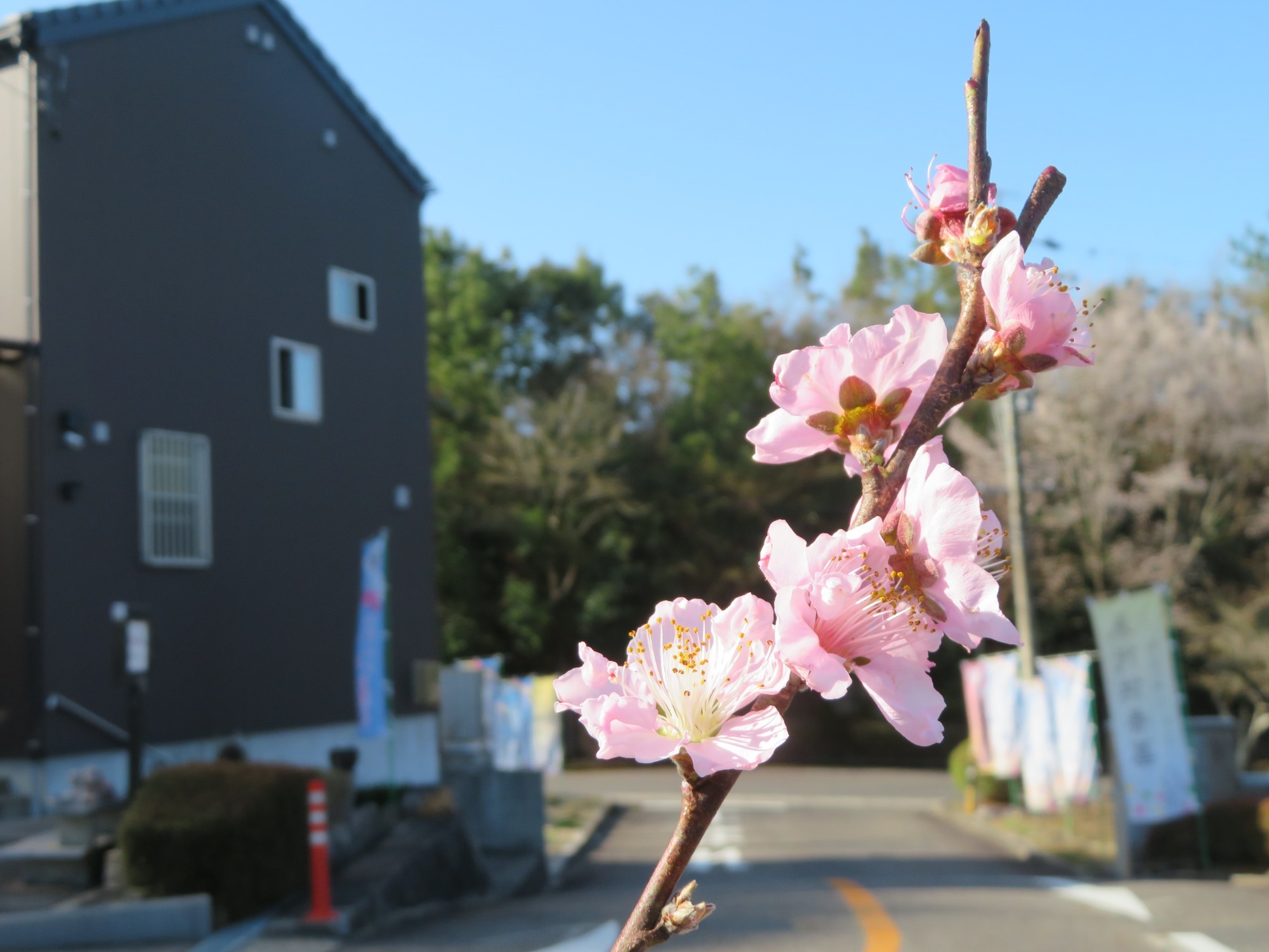 写真：スタバ