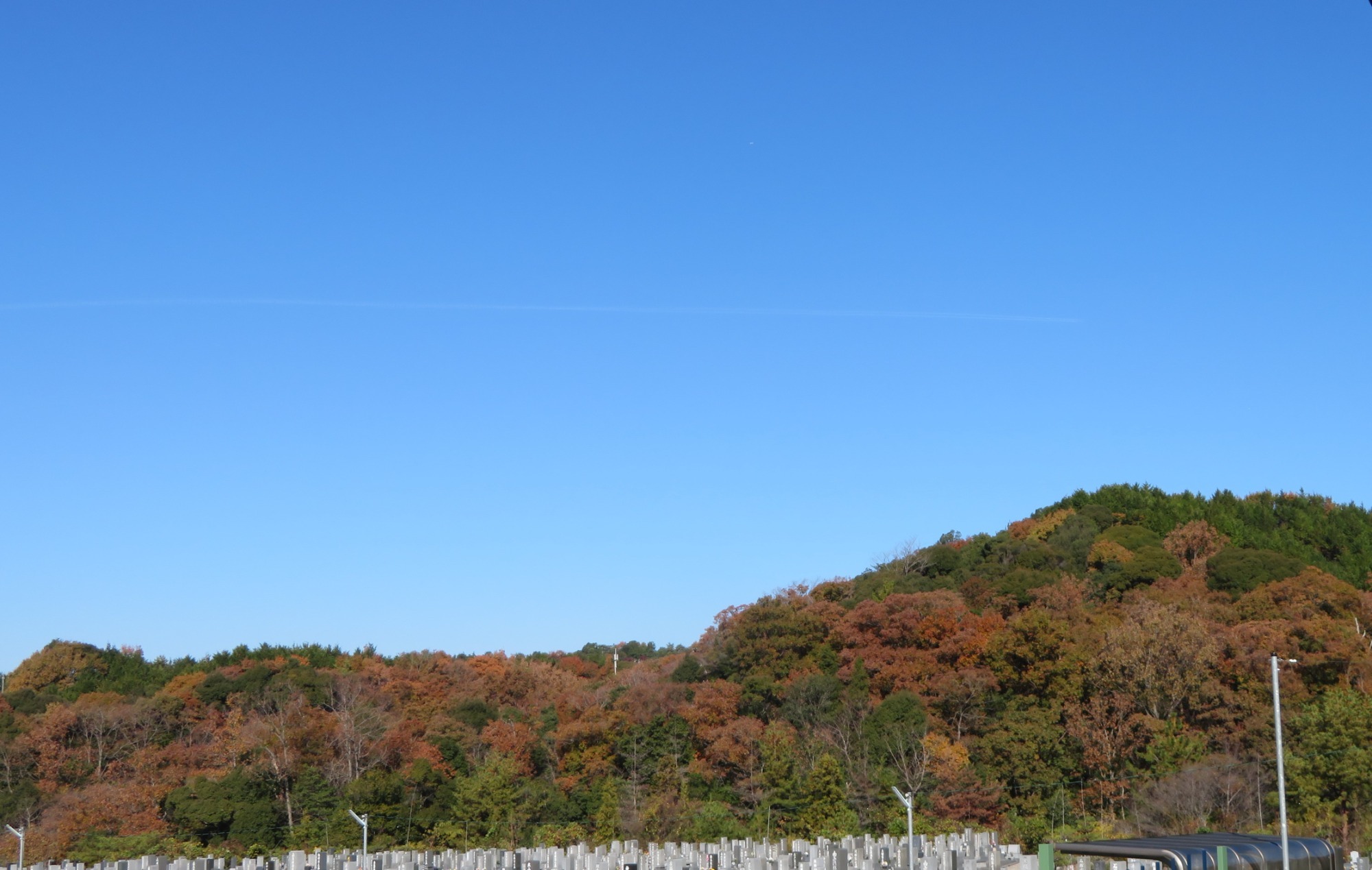 写真：スタバ