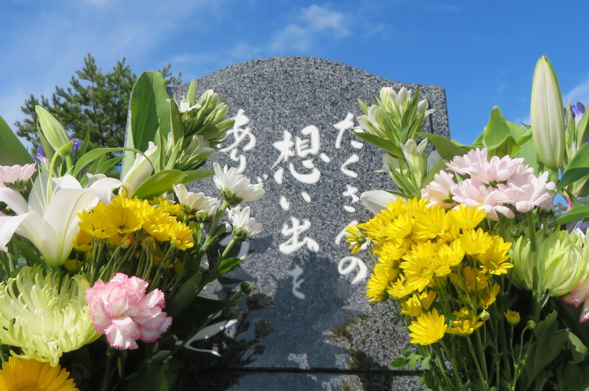 写真：スタバ