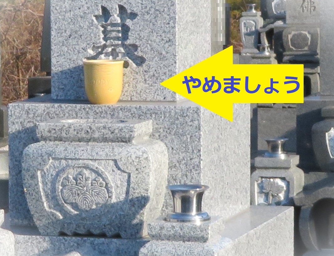 写真：スタバ